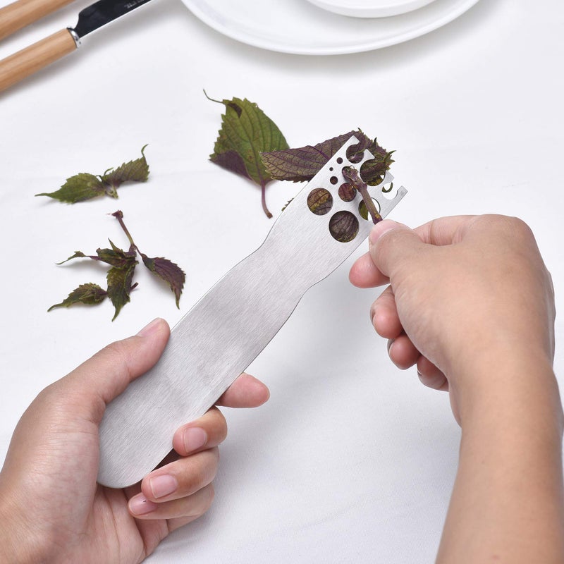 DOMG Herb Stripper, Stainless Steel herb Leaf Zip Tool for Kale, Chard, Collard Greens, Thyme and Rosemary - Image 4